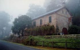 Tizzana Winery Bed And Breakfast